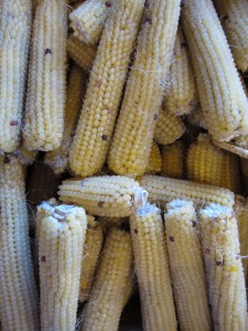 popcorn